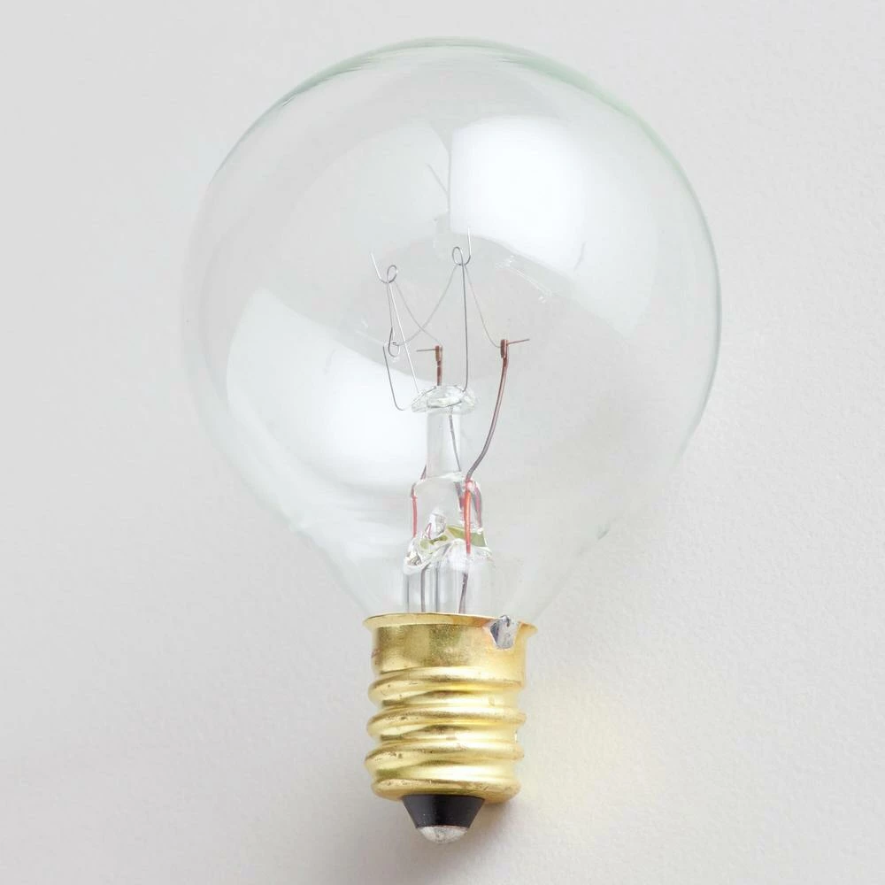 Best deal 😉 World Market Clear Bulb String Light Replacement Bulbs 4 Pack 😍 5 Best deal 😉 World Market Clear Bulb String Light Replacement Bulbs 4 Pack 😍 - Image 3