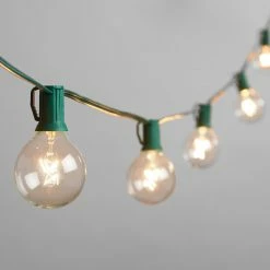 Hot Sale 🤩 World Market Clear Glass 30 Bulb String Lights 😀