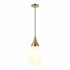 Cheap ⭐ World Market Mika Metal And Milk Glass Teardrop Pendant Lamp 💯